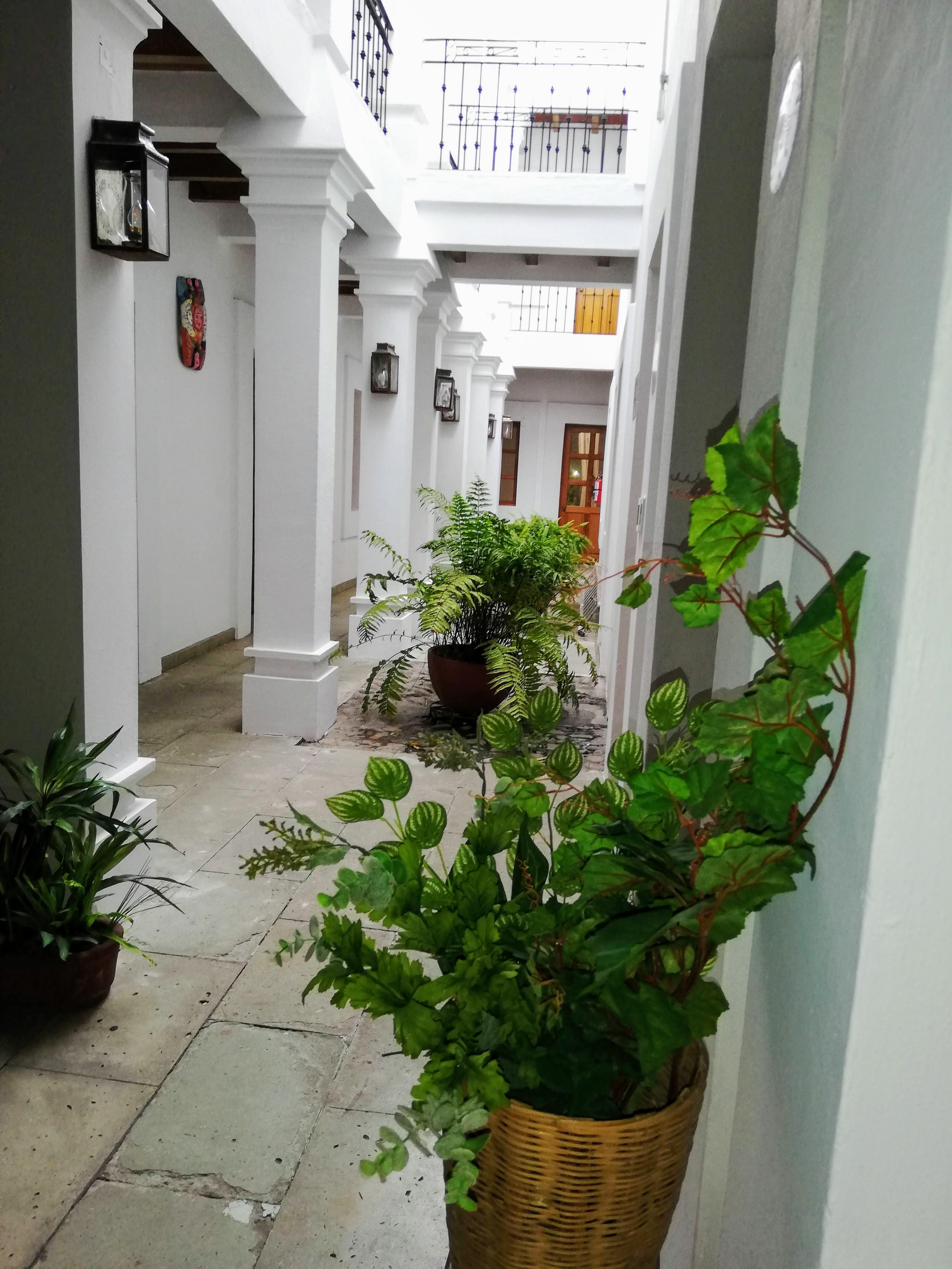 艾塔娜酒店 Oaxaca 外观 照片