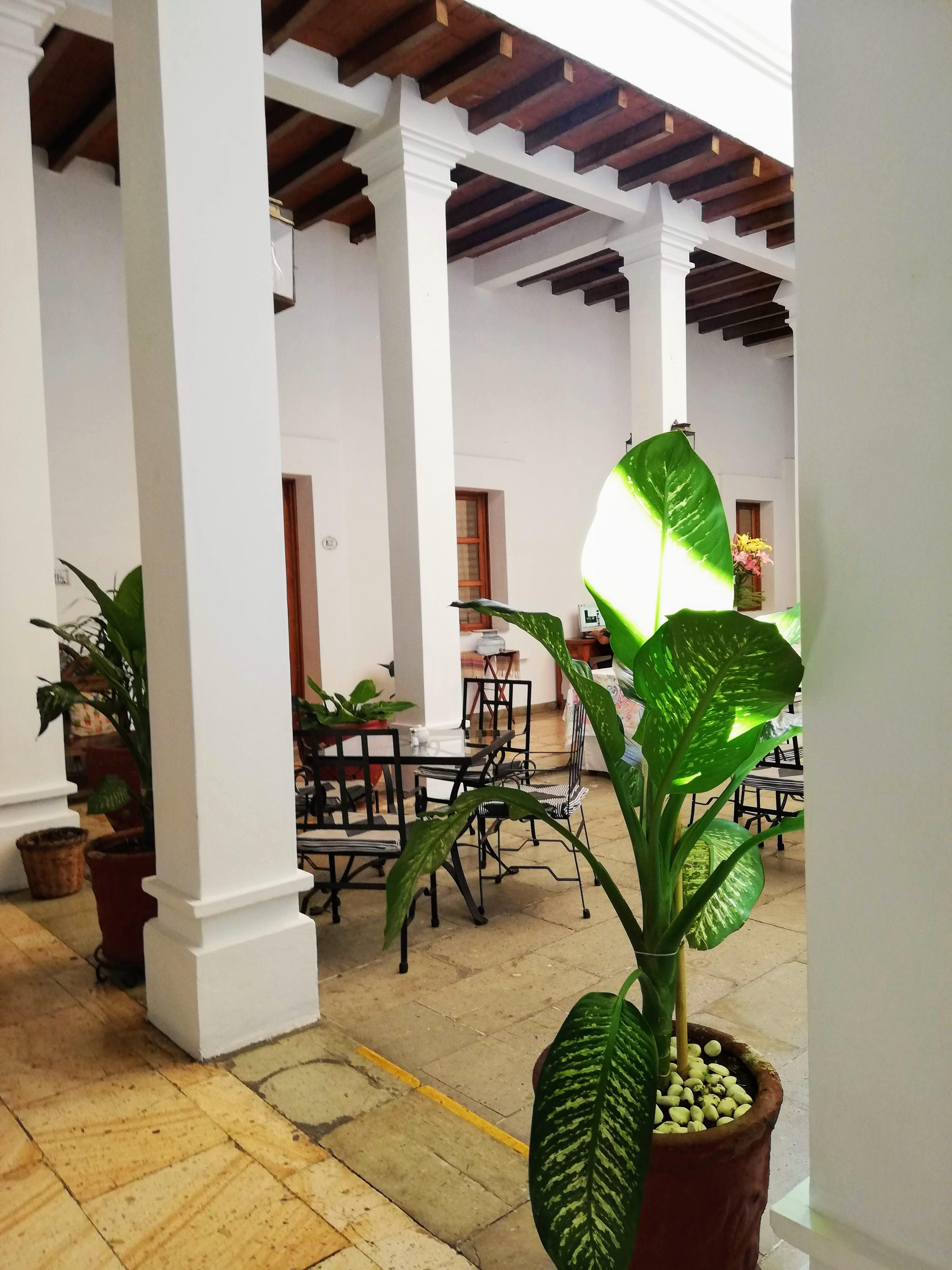 艾塔娜酒店 Oaxaca 外观 照片